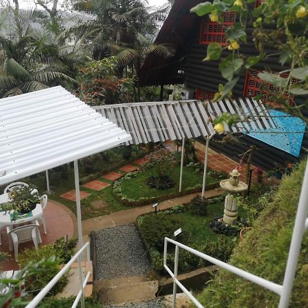 Bosque De Niebla Birding & Nature Cali Ngoại thất bức ảnh