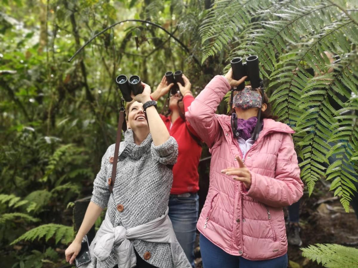 Bosque De Niebla Birding & Nature Cali Ngoại thất bức ảnh