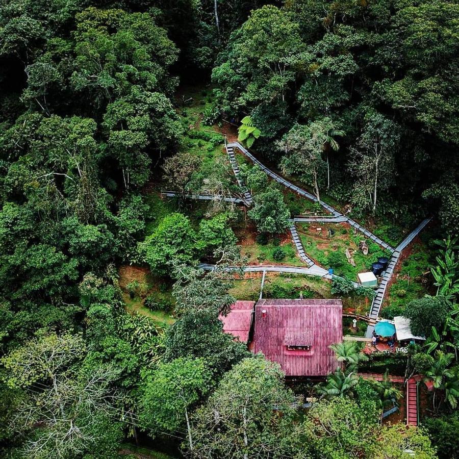 Bosque De Niebla Birding & Nature Cali Ngoại thất bức ảnh