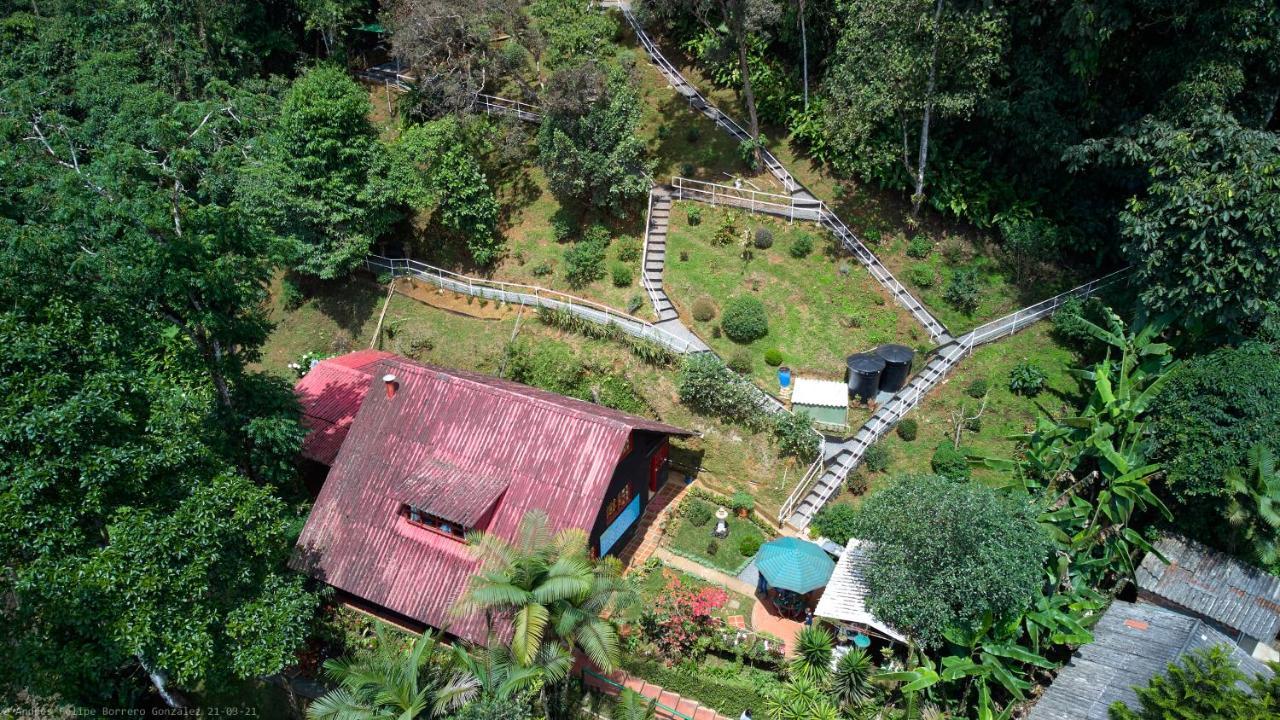 Bosque De Niebla Birding & Nature Cali Ngoại thất bức ảnh
